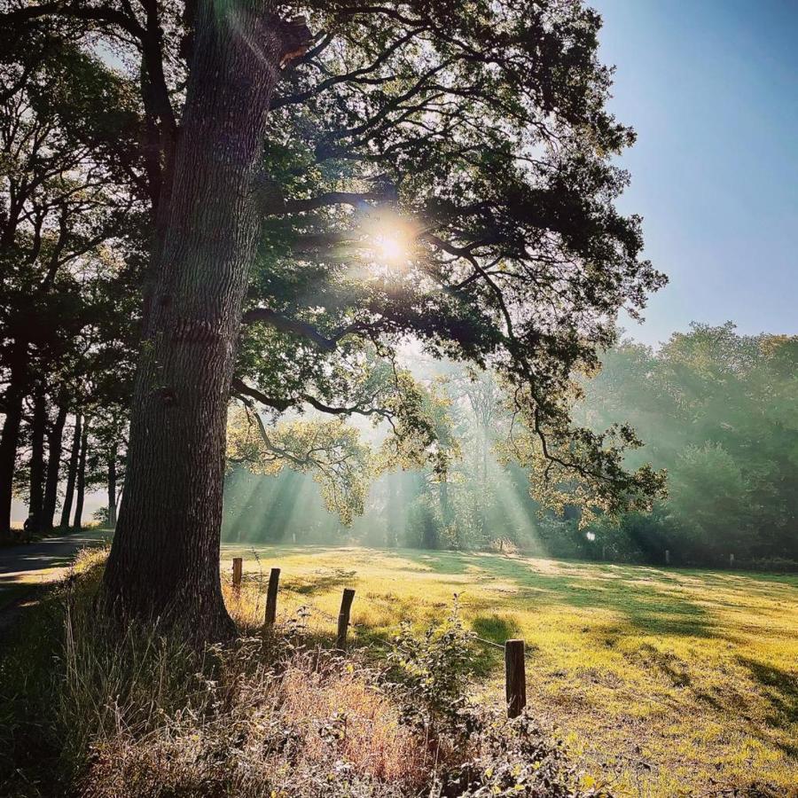 Landgoed Lodges Scholten Linde Rossum  Exteriér fotografie